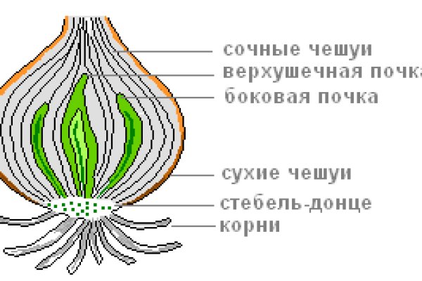 Даркнет маркет кракен onion